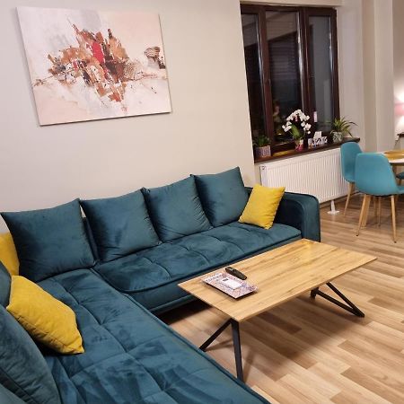 City Inn Premium Apartment ティミショアラ エクステリア 写真