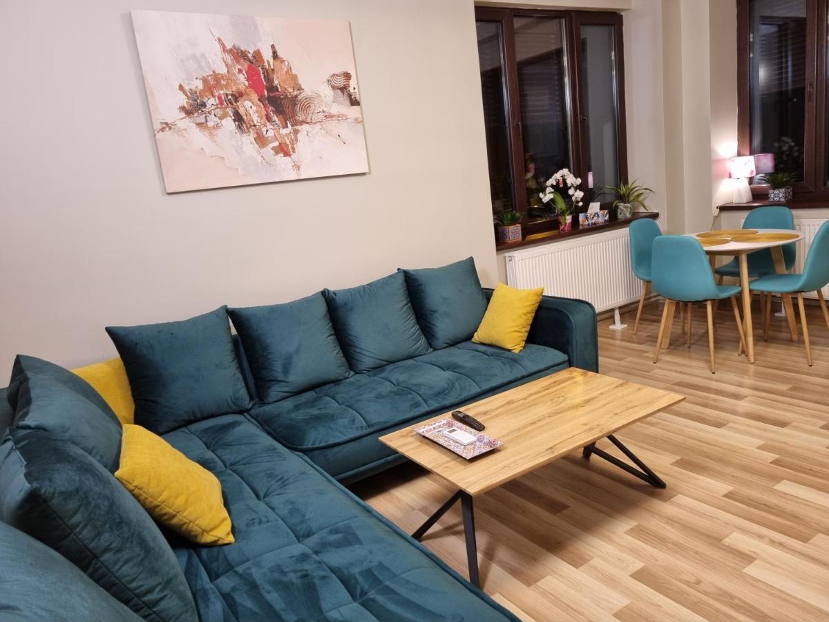 City Inn Premium Apartment ティミショアラ エクステリア 写真