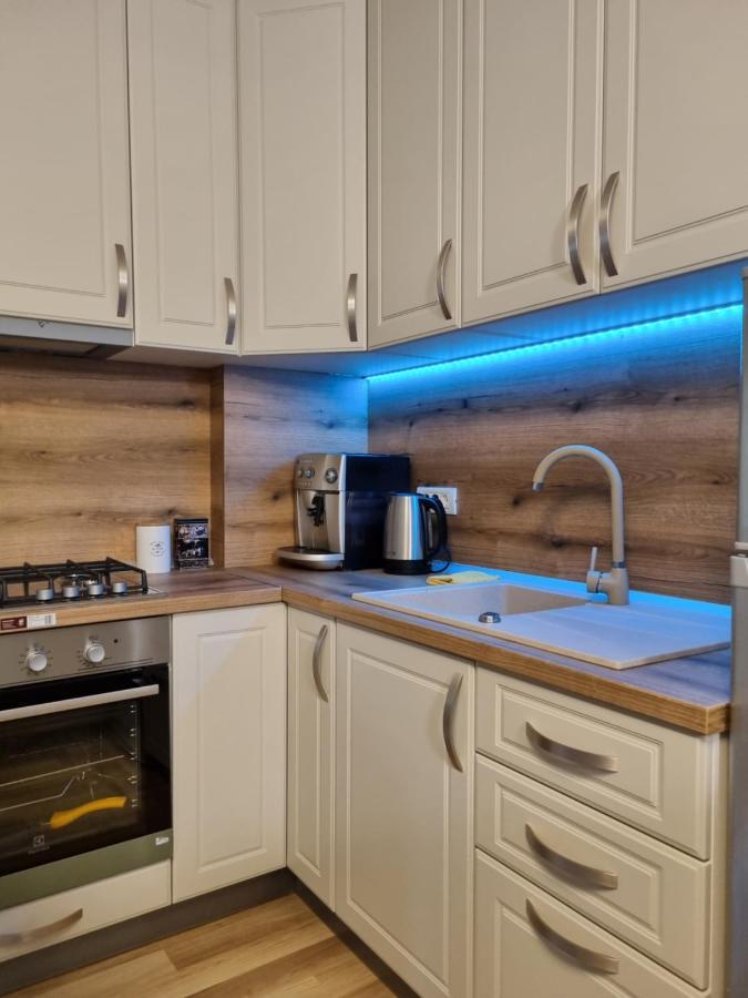 City Inn Premium Apartment ティミショアラ エクステリア 写真