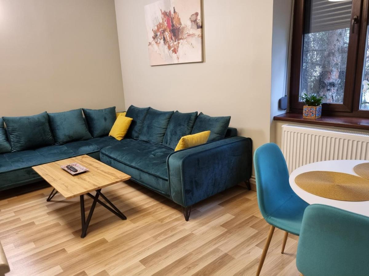 City Inn Premium Apartment ティミショアラ エクステリア 写真