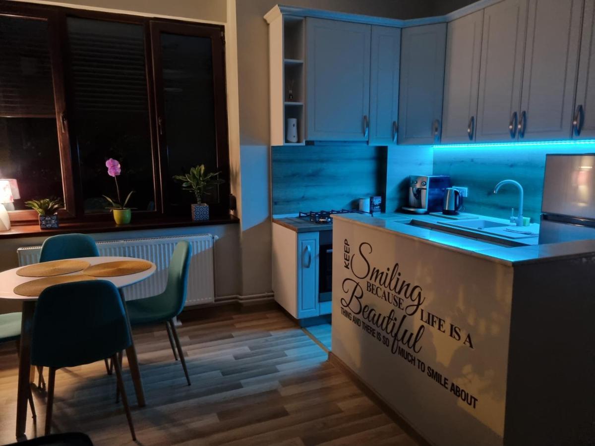 City Inn Premium Apartment ティミショアラ エクステリア 写真